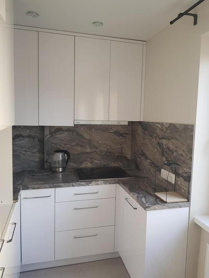 Daukanto Apartment For You Klaipėda Dış mekan fotoğraf